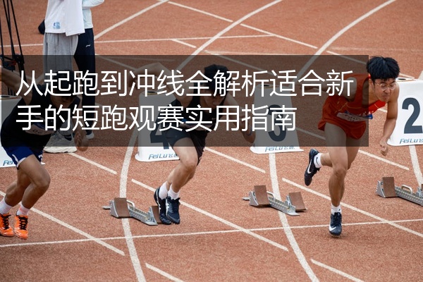 从起跑到冲线全解析适合新手的短跑观赛实用指南